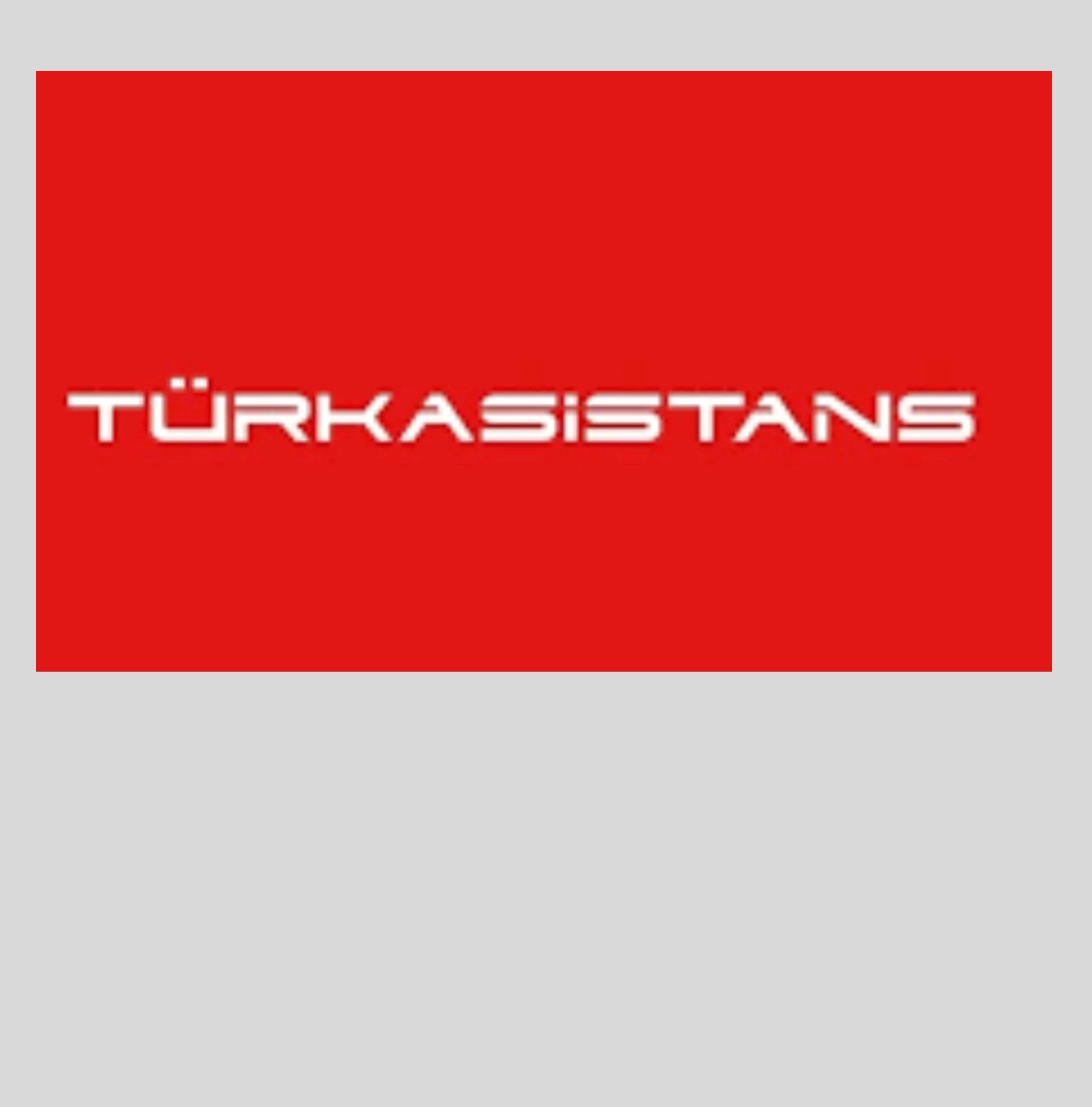 Türk Asistans